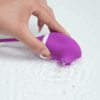 Clit Sucking Toy & Egg Vibrator