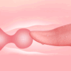 Realistic Vibrating Dildo Clit Licker With Tongue Demon