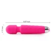 8 Speeds 20 Frequency vibrating AV Magic Wand Massager (1)