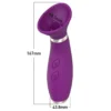 Seduction - Stimulation Suction Vibrator