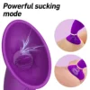 Seduction - Stimulation Suction Vibrator