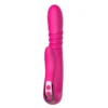Deluxe Intelligent Telescopic Rotating Thrusting Dual Stimulating Vibrator