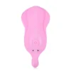 Dibe Sex Massager 3 IN 1 Wearable Vibrator