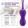 Dual Kegel Vibrating Ben Wa Balls kit With Remote Control