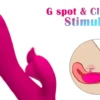 Clitoral & G Spot Dolphin Vibrator For Women