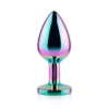 Rainbow Jewel Metal Butt Plug