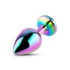 Rainbow Jewel Metal Butt Plug