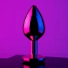 Rainbow Gem Rose Gold Metal Butt Plug