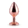 Rainbow Gem Rose Gold Metal Butt Plug