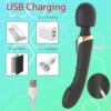 Double Ended Vibrator