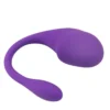 Wearable Vibrator Bluetooth Stimulator for Female (1) Wearable Vibrator Bluetooth Stimulator for Female